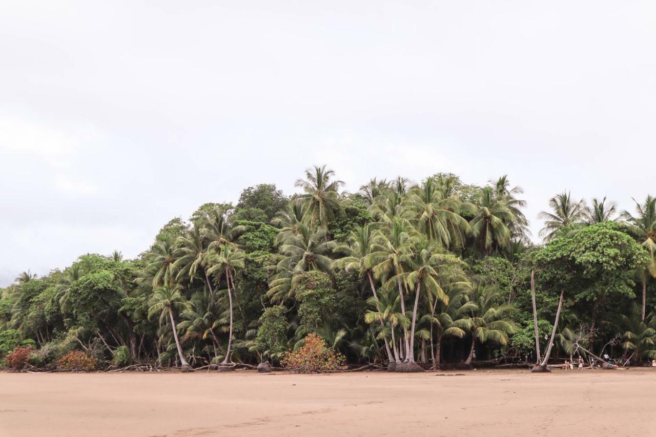 Villa Costa Pura Vida Ojochal Eksteriør billede